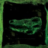 avey_tare_down_there_packshot