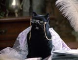salem granny glasses