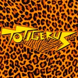 Totigerous-Soundcloud-Square-2