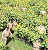 sumo garden