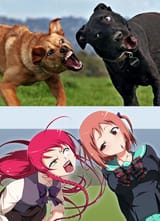 1736691575108396