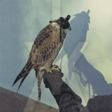 Iceage_You&#039;re_Nothing_Album_Cover