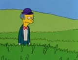 Simpsons burns stare field