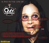 ozzy