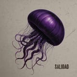 jelly cover 600px