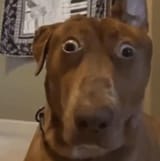 shocked
