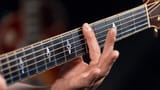 03-fingers-frets-and-strings
