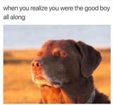 1672582760138253