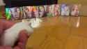 best kep1er selection_thumb.jpg