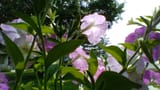 WIN_20210702_15_22_42_Pro (4)