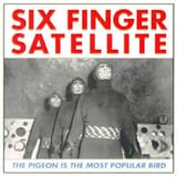 pigeon