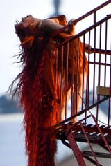 Chappell-Roan-music-video-shoot-05-070825-7168ff8cf90f41fd994f6edf94be7278
