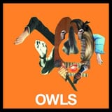 Owls_Cover