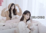 안뇽