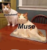 e4bd9747635b56ebf409f7ec01e956fa