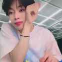 hammypie 100725_thumb.jpg