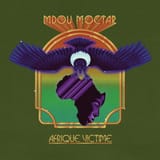 mdou-moctar-afrique-victime-Cover-Art