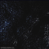 mcr_foundations_of_decay