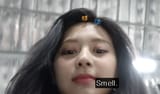 smell