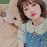 shorthairin (10)