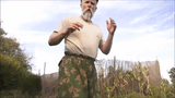 vargkarate