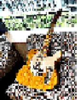 1713842849435460