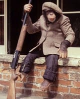 monkey rifle