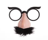 classic-glasses-and-mustache-disguise-on-white-background-2924247354