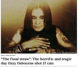 ozzy cats