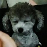 zero sleepy