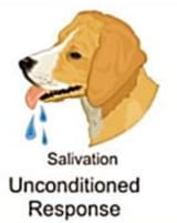 salivation