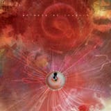Animals as Leaders - The Joy of Motion