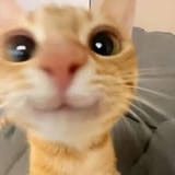 48585