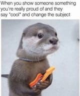 Otter Guitar