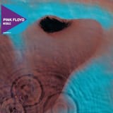 meddle-4216508951