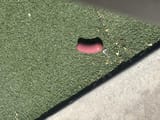 IMG_8027