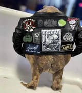 battle jacket toad