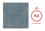 Animal Collective Merriweather Post Pavilion Album Review Pitchfork