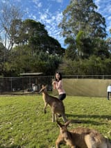 hermesieunn_519256270_17905570869197071_170056931312605408_n