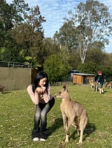 hermesieunn_520170202_17905570857197071_4248888919232968223_n