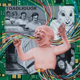 Lord-307_Toadliquor_Cover_Edit_666