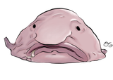 1747761487508058
