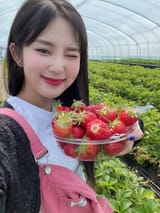 songsunberry