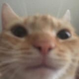 1000058234