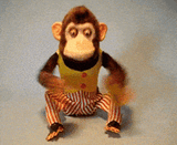 monkey