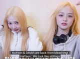 jeongsis