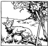 fox_13_lg[1]