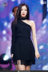 Arin_6
