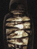 Mellified_man