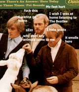 beach_boys